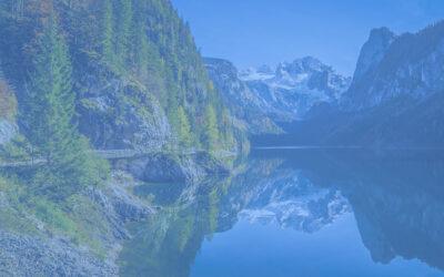 Global Market Commentary January 2026