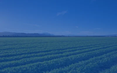 Perigon Wealth Management Launches Development of Scalable Organic Growth Platform